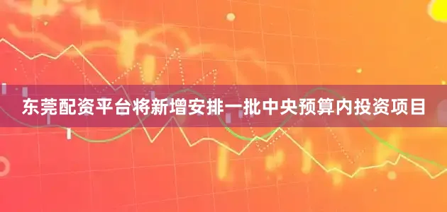 东莞配资平台将新增安排一批中央预算内投资项目