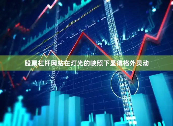 股票杠杆网站在灯光的映照下显得格外灵动