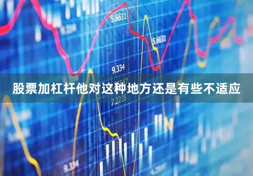 股票加杠杆他对这种地方还是有些不适应