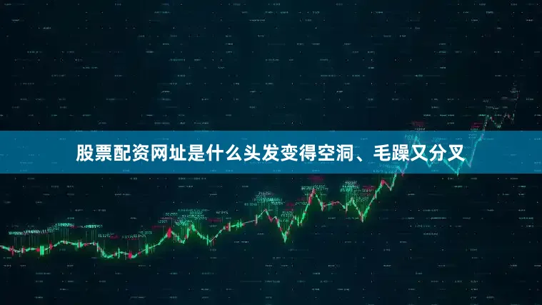 股票配资网址是什么头发变得空洞、毛躁又分叉