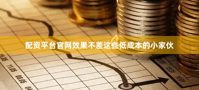 配资平台官网效果不差这些低成本的小家伙